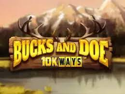 Bucks and Doe 10K Ways